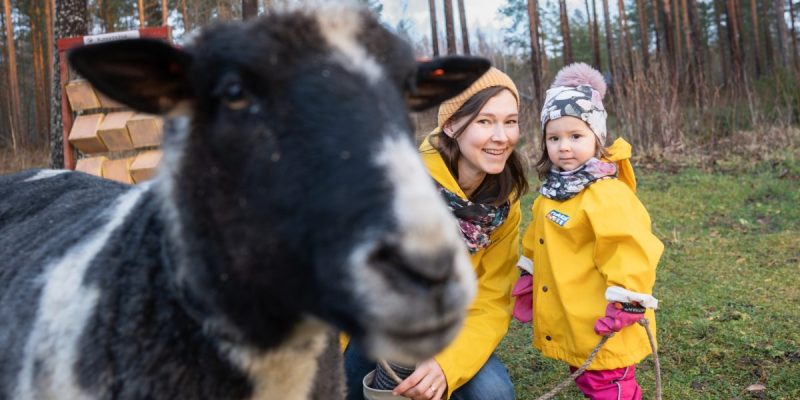 Muuta perheen kanssa Merikarvialle